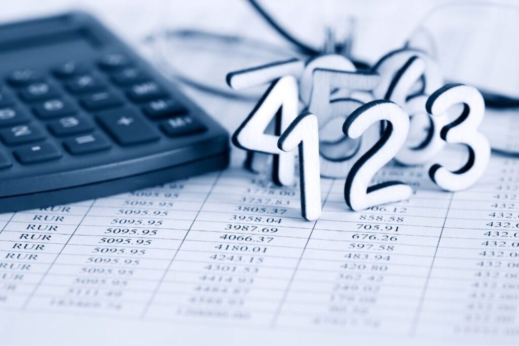 Ön Muhasebe Sistemi ile Gelir ve Gider Kontrolü